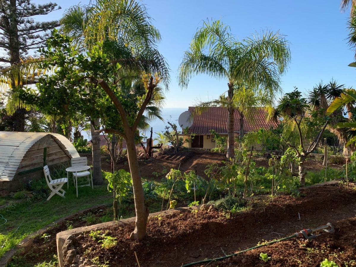 Ferienwohnung Finca Monica La Matanza De Acentejo Eksteriør bilde
