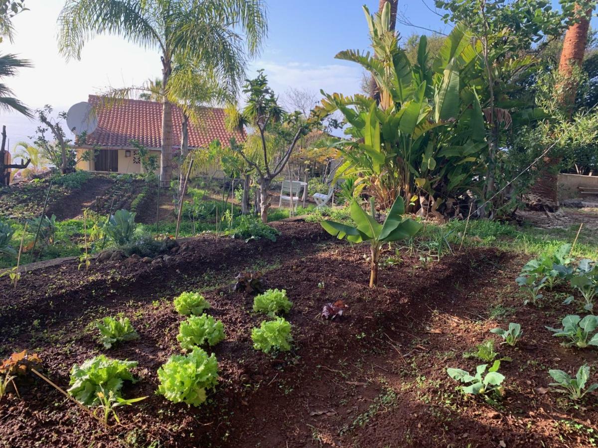 Ferienwohnung Finca Monica La Matanza De Acentejo Eksteriør bilde